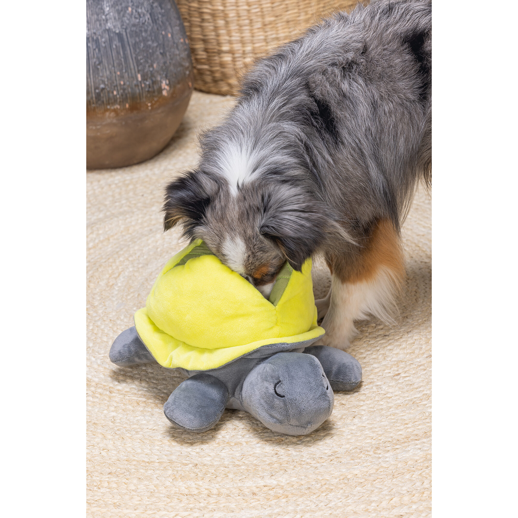 Beeztees Hide And Seek Turtle