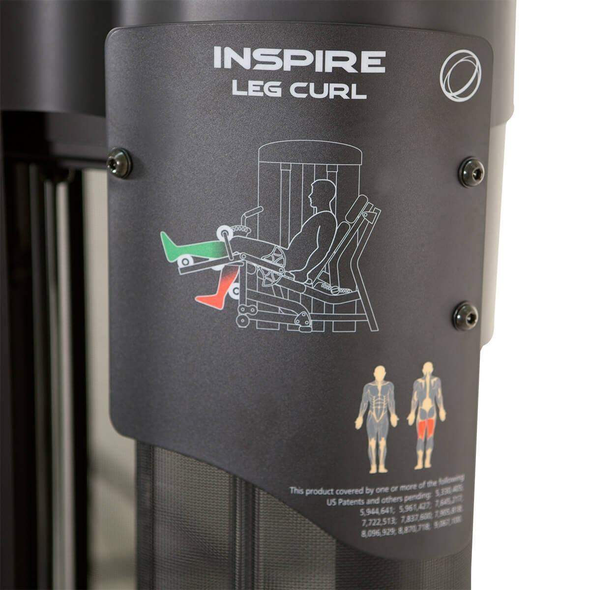 Dual Station Leg Extension/Curl