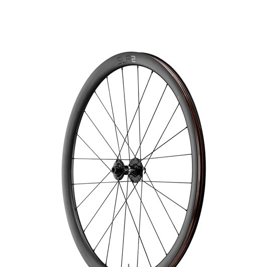 Giant SLR 2 Tubeless Carbon Disc 36 Front Wheel - Clincher - Centerlock - 12x100mm