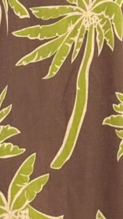 Kailani Strapless Top and Pants Set - Brown/Green Palm