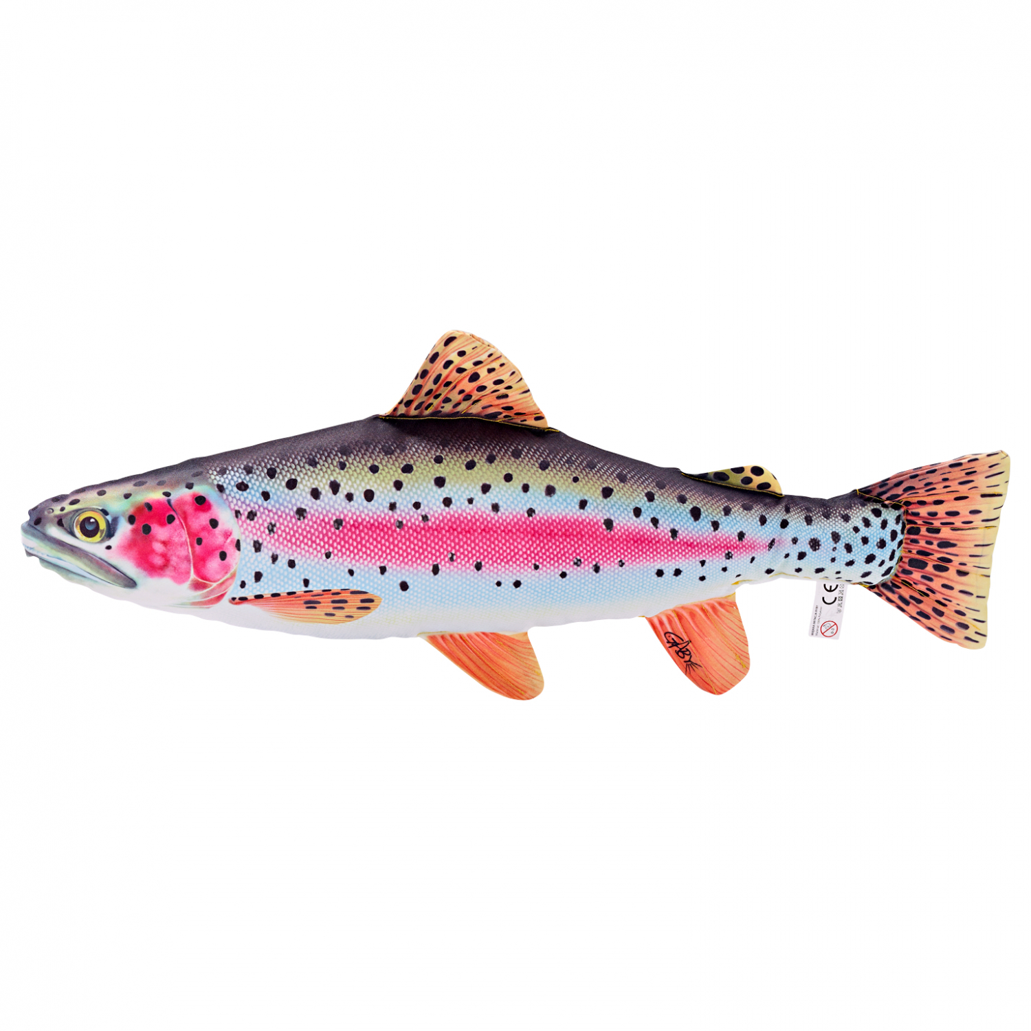 Gaby Stuffed anima lRainbow Trout