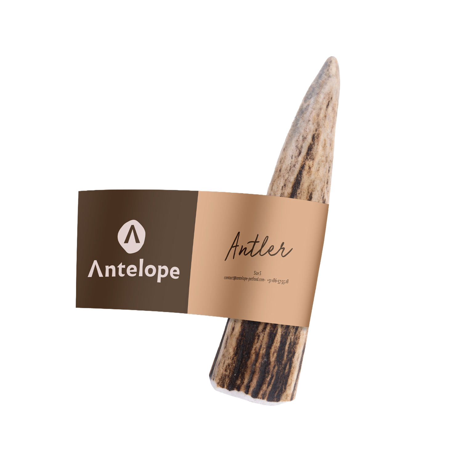 Antelope Antler - S