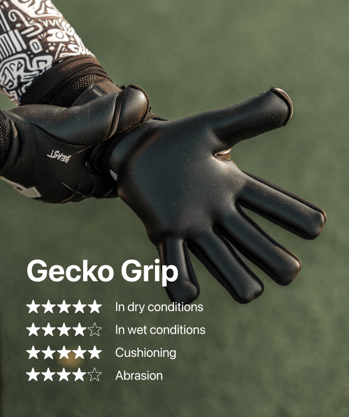 Shadow Beast 3.0 (FP)