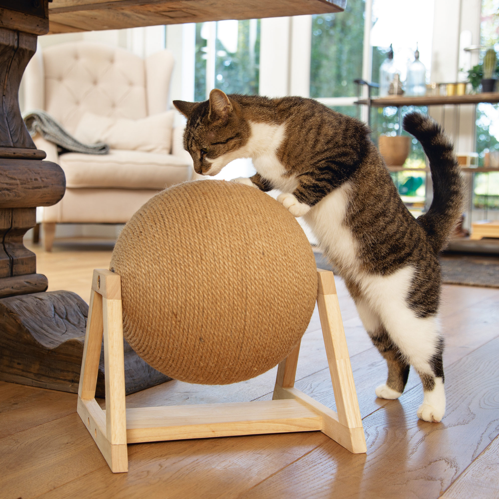 Designed by Lotte Scratching Globe Xem