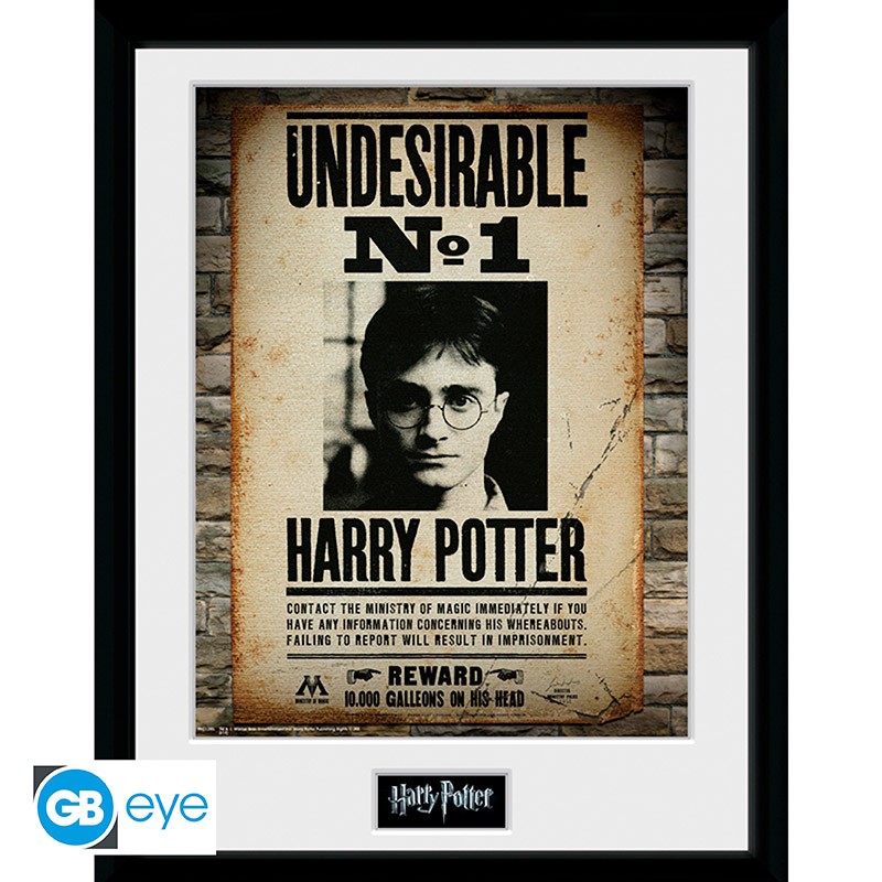 HARRY POTTER Framed print Undesirable No 1