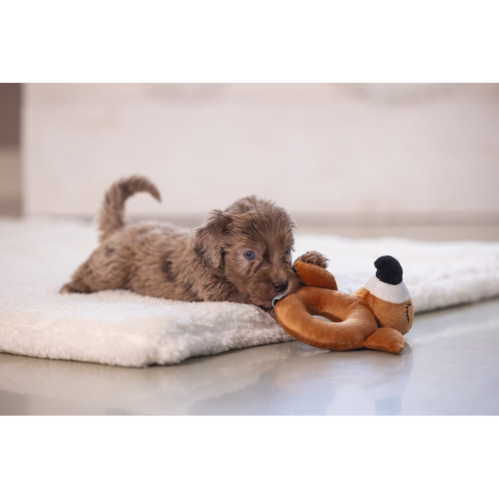 Beeztees Puppy Rattle - Flamingo