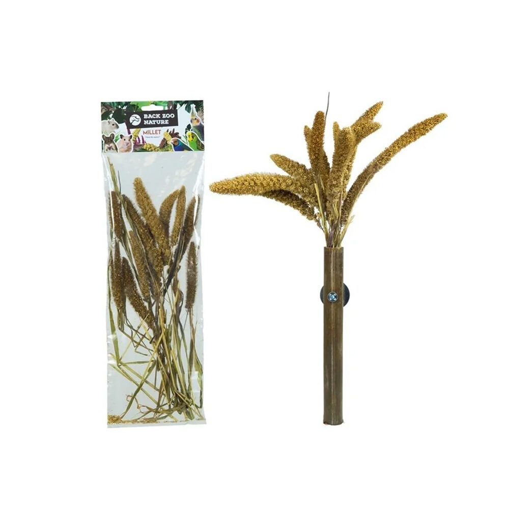 Back Zoo Nature Setaria - 30 grams