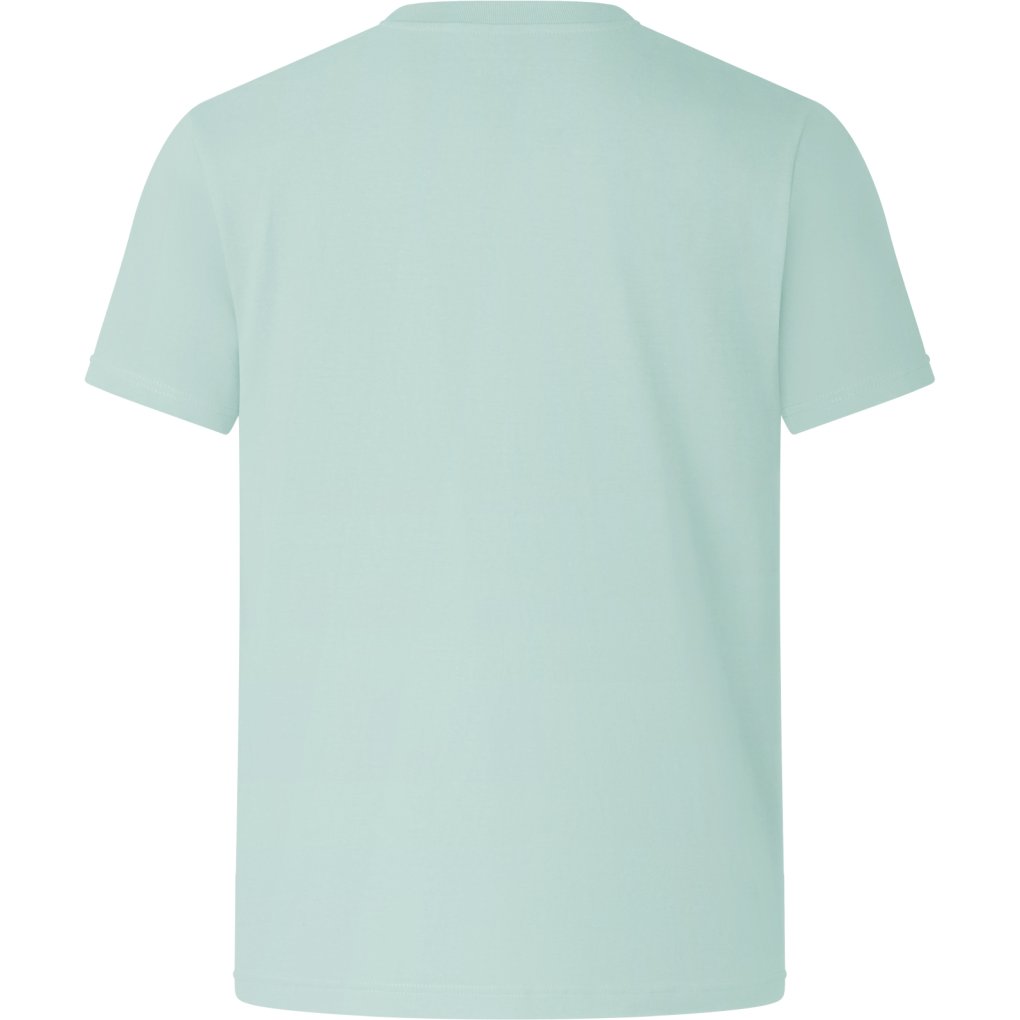 Endura Ltd Graphic Tee Men - Hertiage Icon - sage