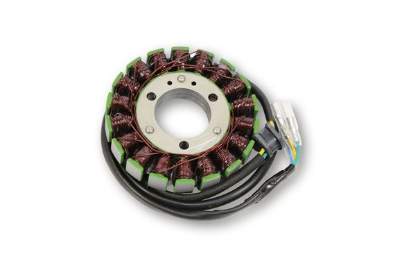 Electrosport Ignition Stator Ref: Els00209A / 1140051