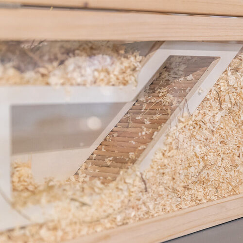 Trixie Observation Hideaway