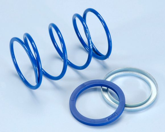 POLINE Polini EVO SLIDER +8% engine springRef: Pol00105A / 1011854