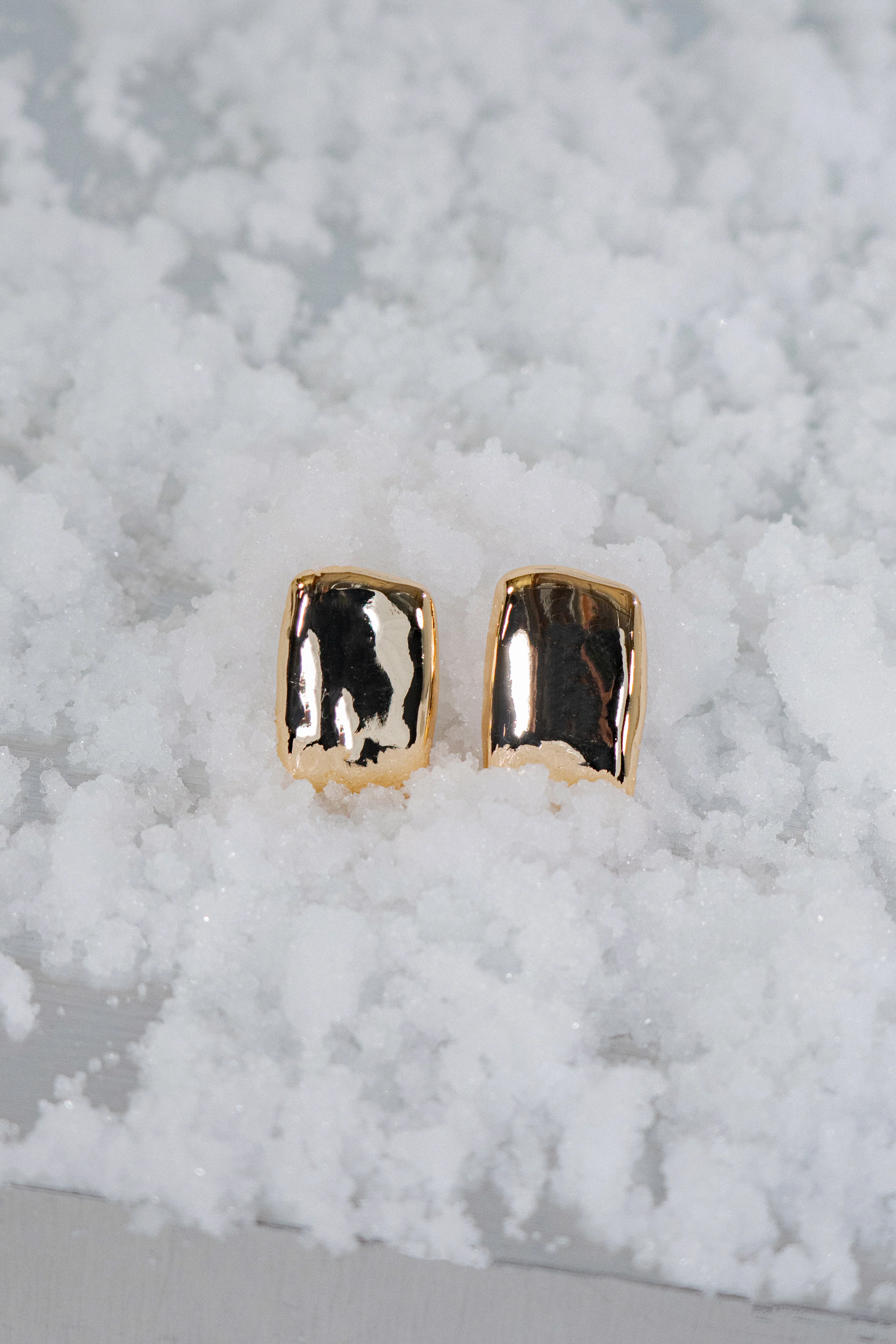 Gold JLUXLABEL Logo Earrings
