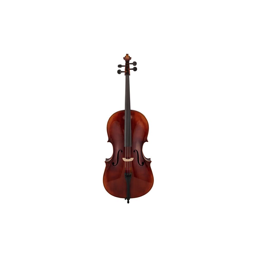 Gewa Maestro 6 Antique Cello 4/4 – Thomann Ireland