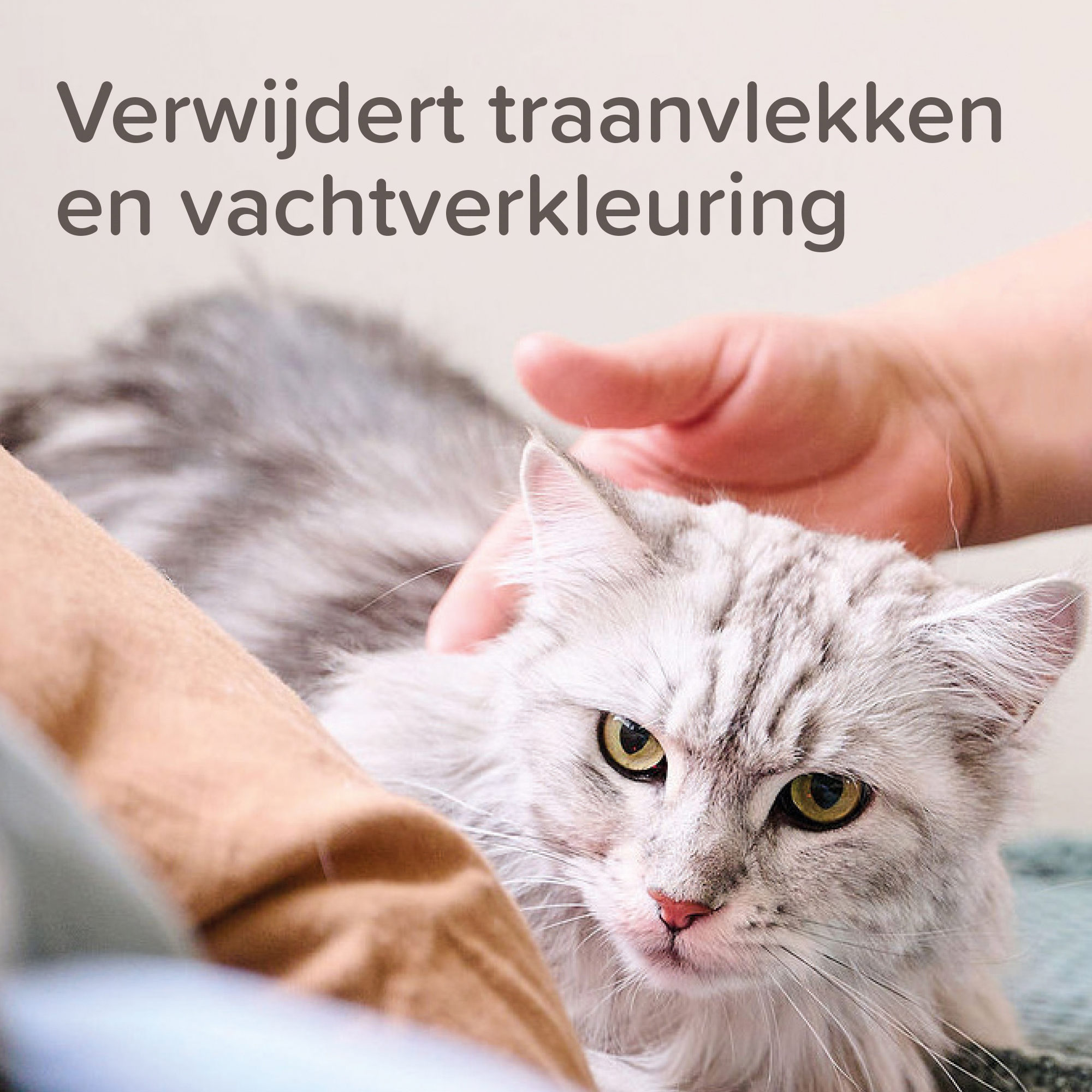 Beaphar Tear Stain Remover