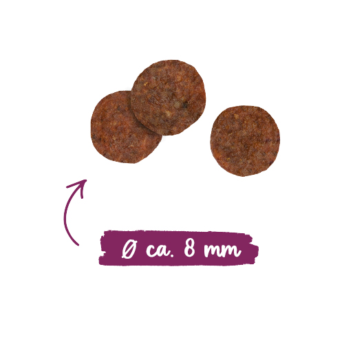 Sanabelle Senior - 2 kg