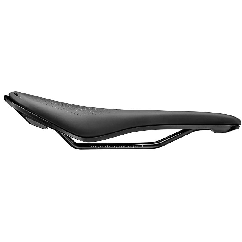 Giant Approach Saddle