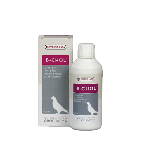 Biochol (B-chol) - 500ml