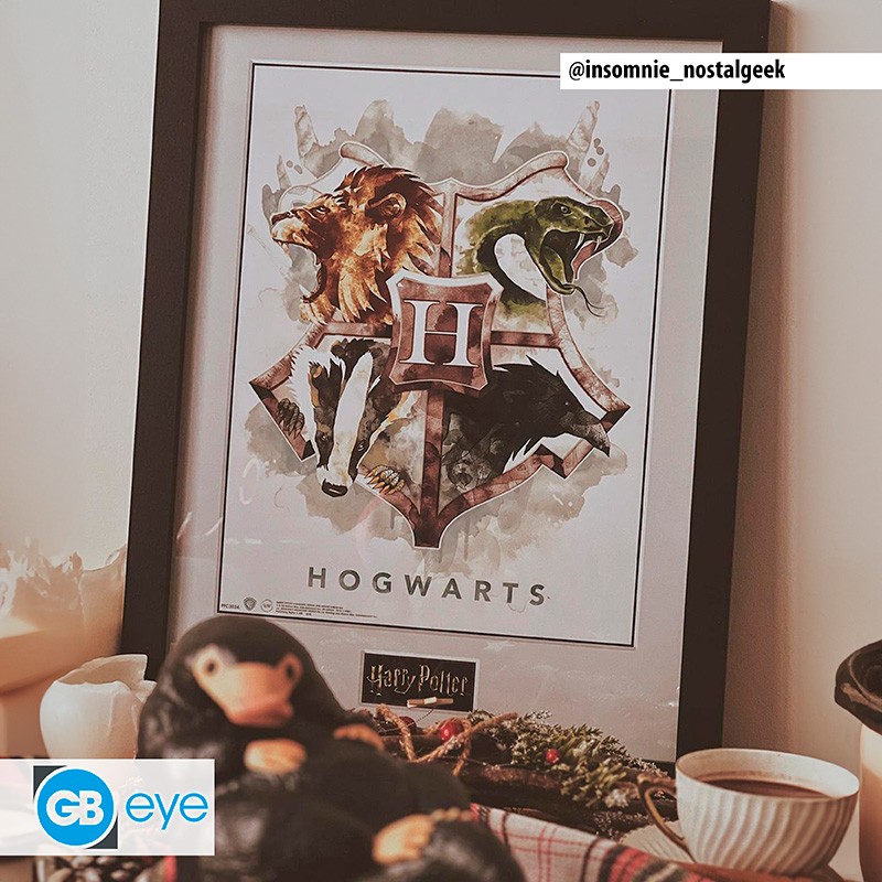 HARRY POTTER Framed print Hogwarts Water Colour