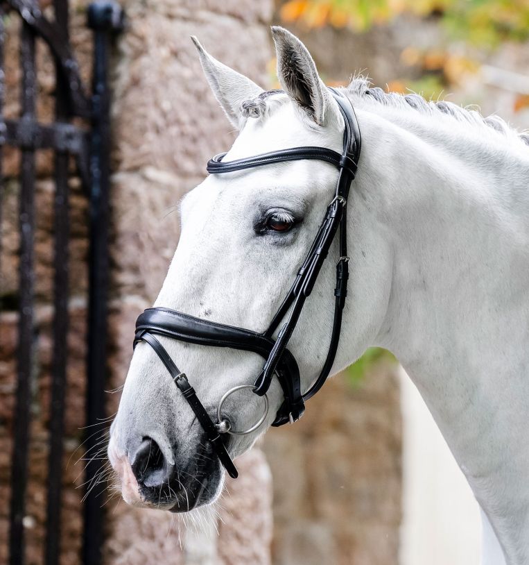 Horseware® Dressage Flash Bridle