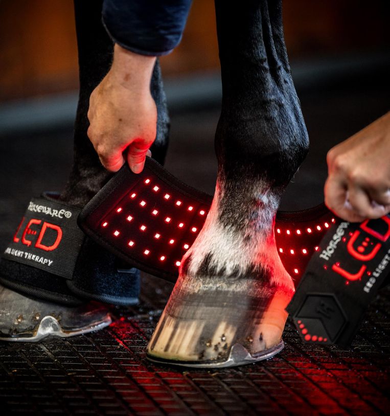 Horseware® LED Red Light Therapy Mini Wrap