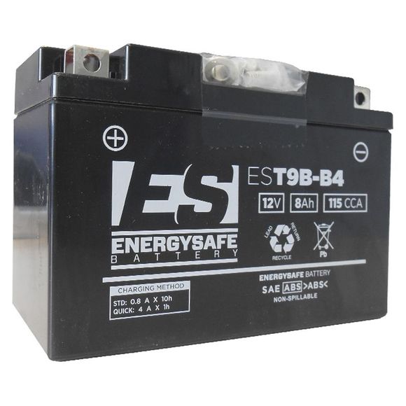 EnergySafe EST9B-4 Battery Closed Type Acid Maintenance Free/Ready to UseRef: E4924