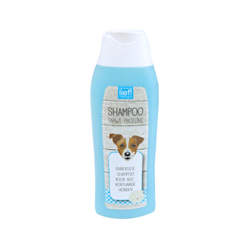 lief! Shampoo Universal Shorthair - 300ml