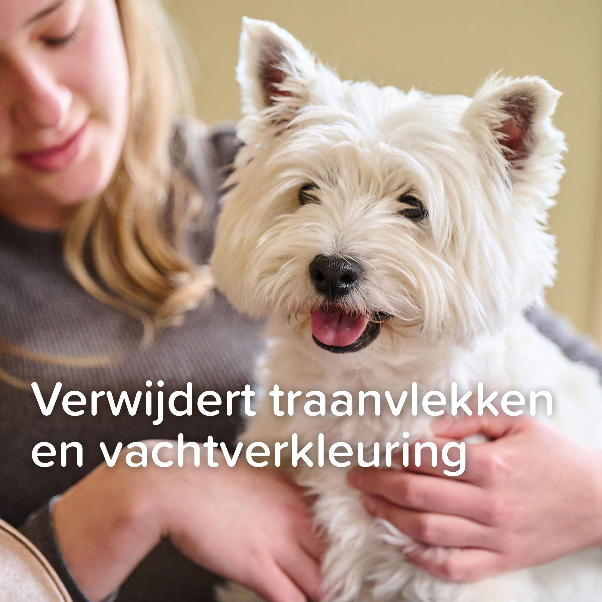 Beaphar Tear Stain Remover