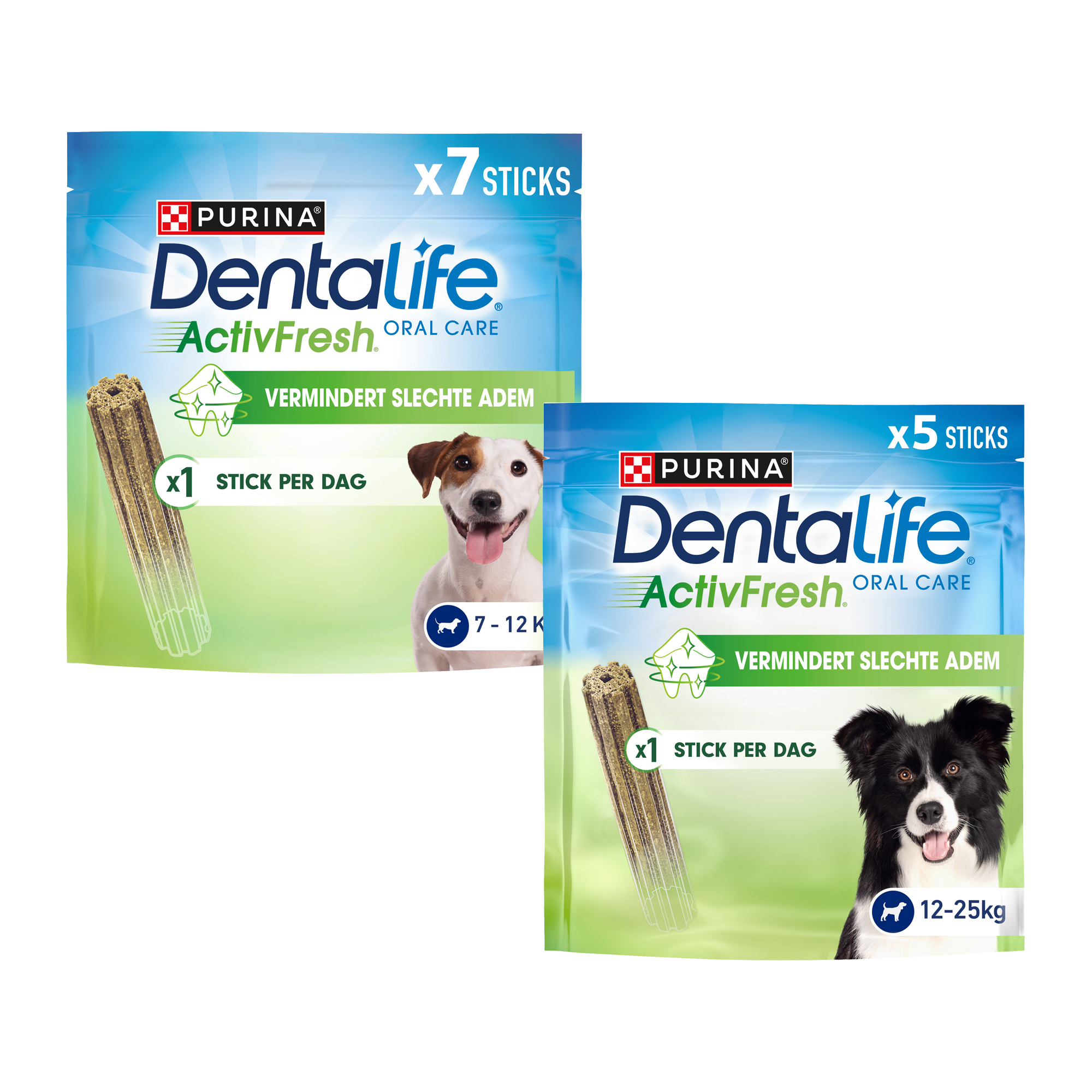 Dentalife Activfresh - Medium