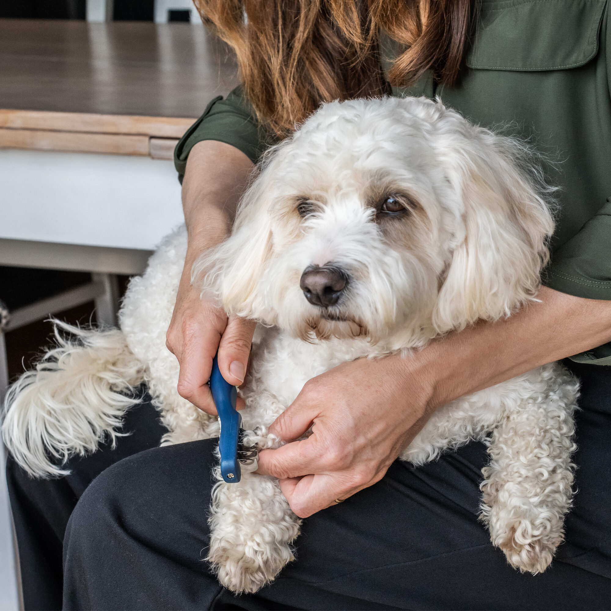 Mikki Doodle De-Matter