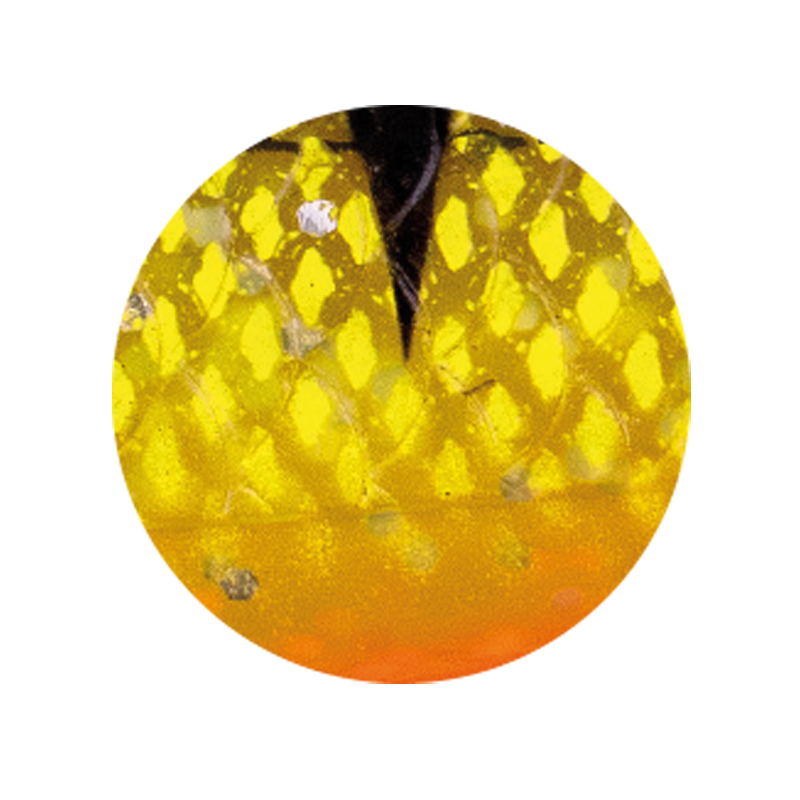 Zeck Zander Pelagi (Shock Perch)