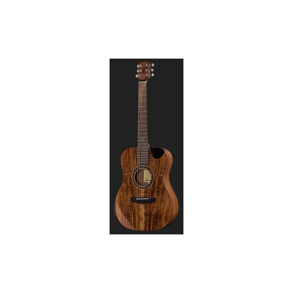 Journey Instruments OF882C Acacia Acoustic – Thomann Ireland