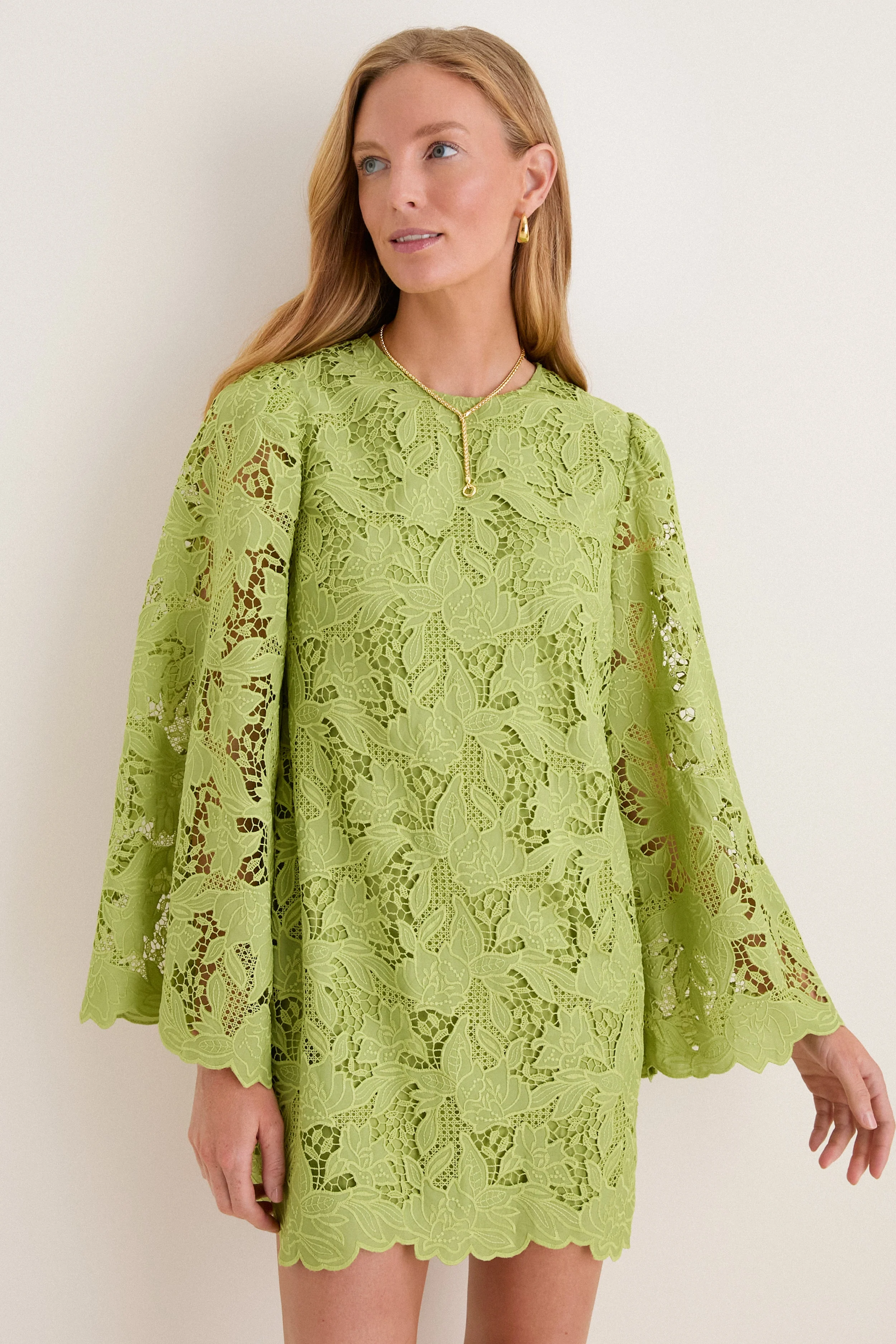 Olive Lace Livvy Mini Dress