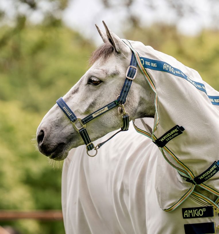 Horseware® Fieldsafe Headcollar
