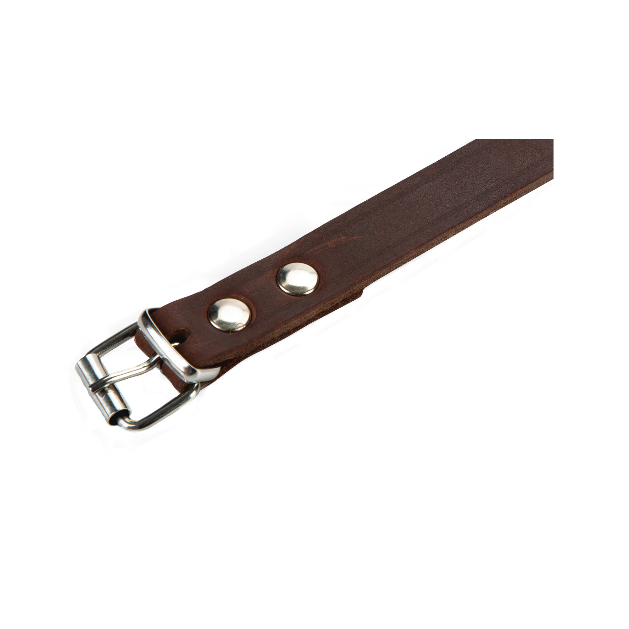 Beeztees Dog Collar Leather - Brown - 62cm x 25mm