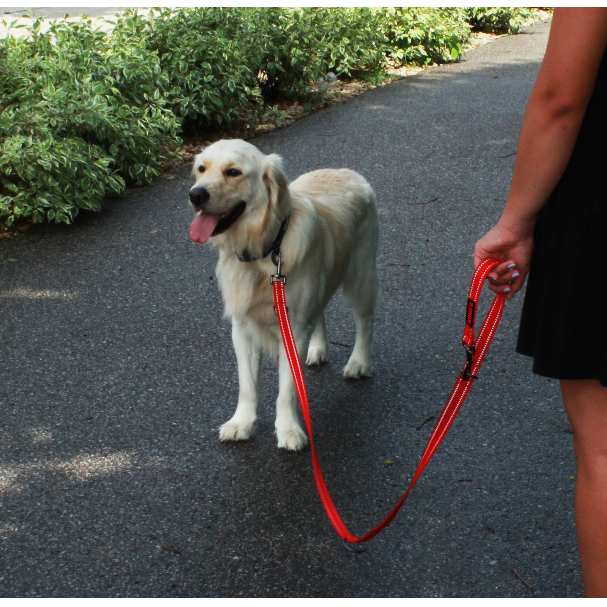 KONG Adjustable Leash - Black - M/L