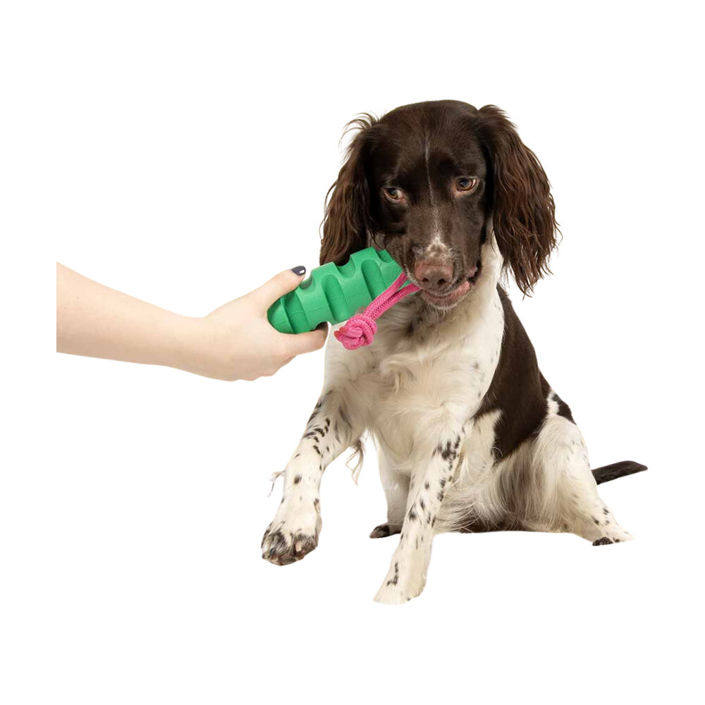 Coockoo Groovy Grip Dog Toy