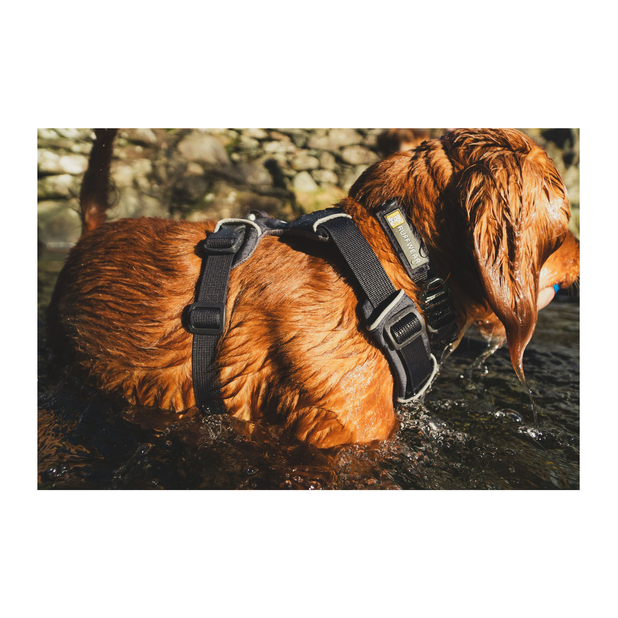Ruffwear Front Range Harness - S - Basalt Gray