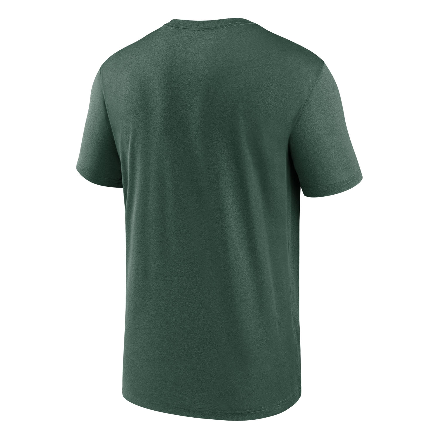 Green Bay Packers 2025 Icon Nike Legend NFL T-Shirt Green