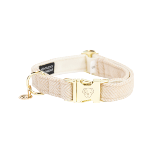 Kentucky Dogwear - Dog Collar - Wool - Beige - XXS - 18-26 cm