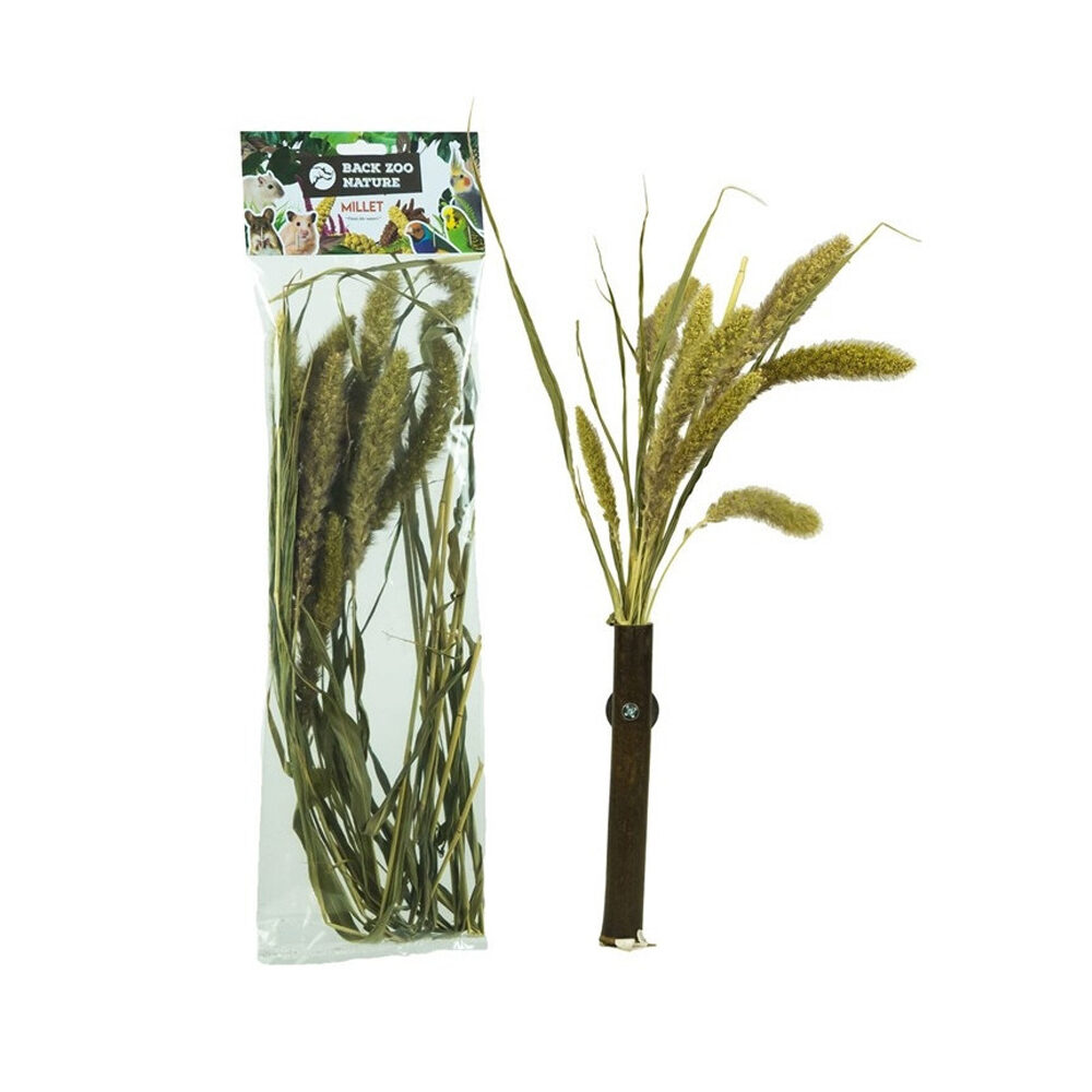 Back Zoo Nature Setaria - 30 grams
