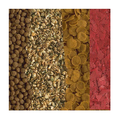 Tetra Goldfish Menu - 250ml