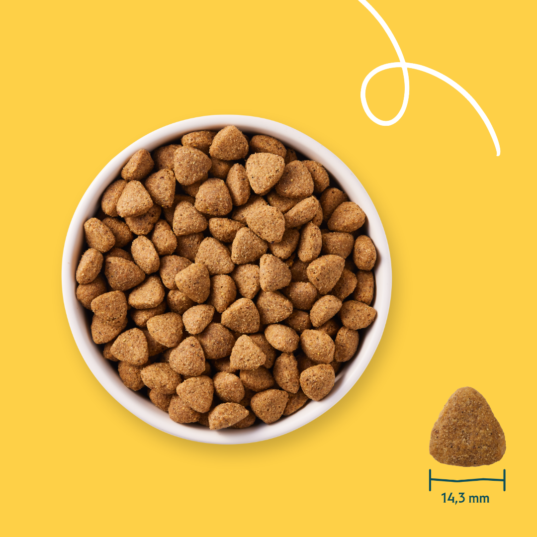 Yarrah Dry Dog Food Vega Bio - 10kg