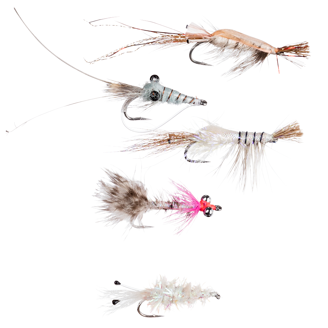 Dragon Flies Assortment Premium (Saltwater S)