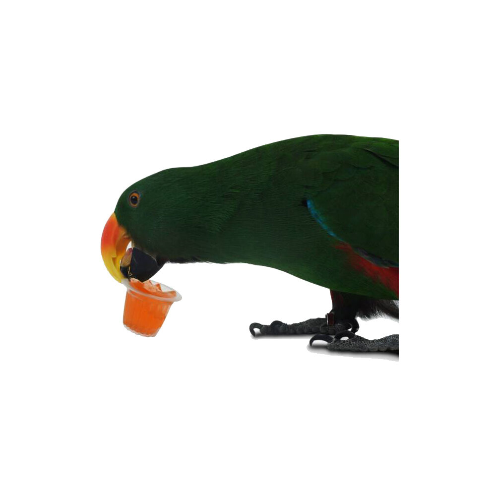 Back Zoo Nature Fruit Cups - Mix - 24 pieces