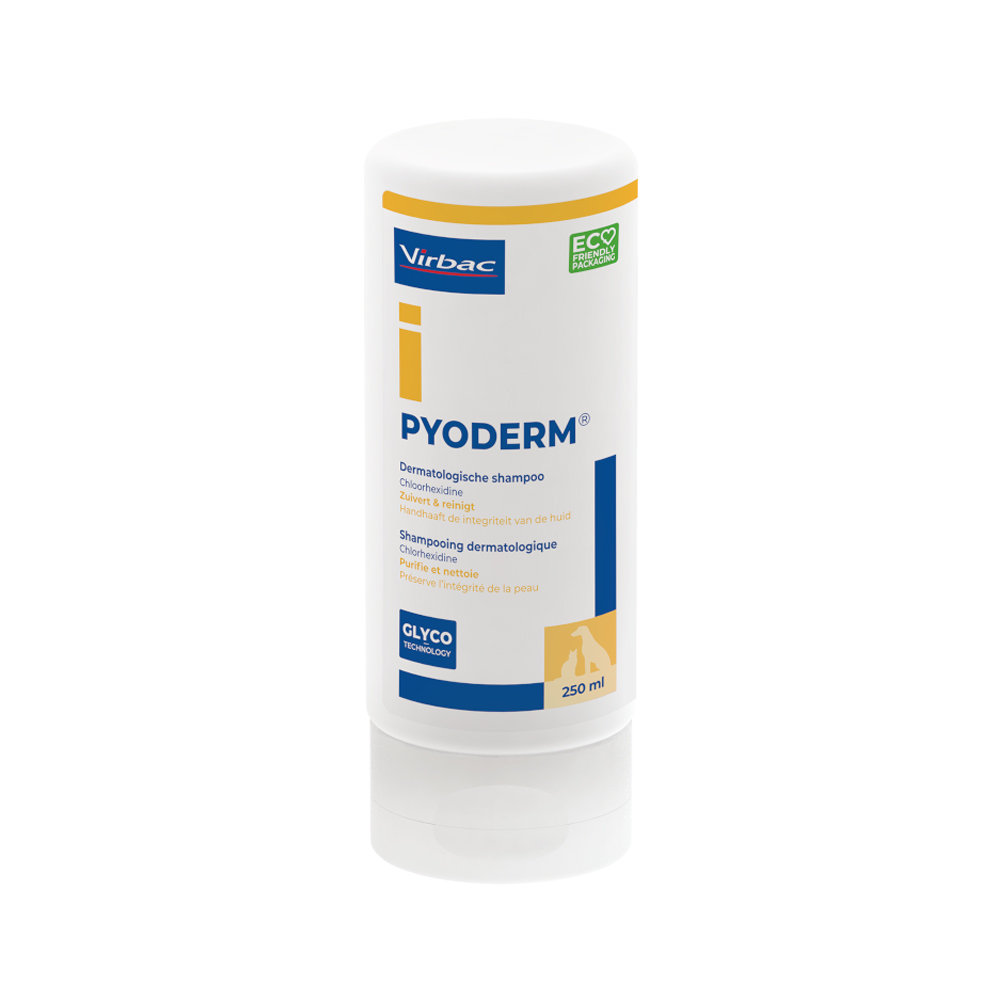 Pyoderm Shampoo - 250ml