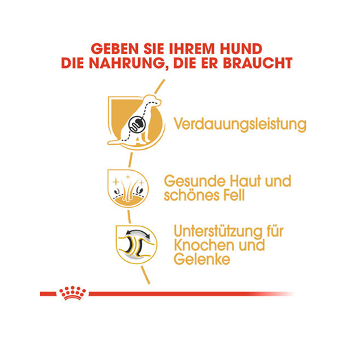 Royal Canin German Shepherd Adult - 3 kg