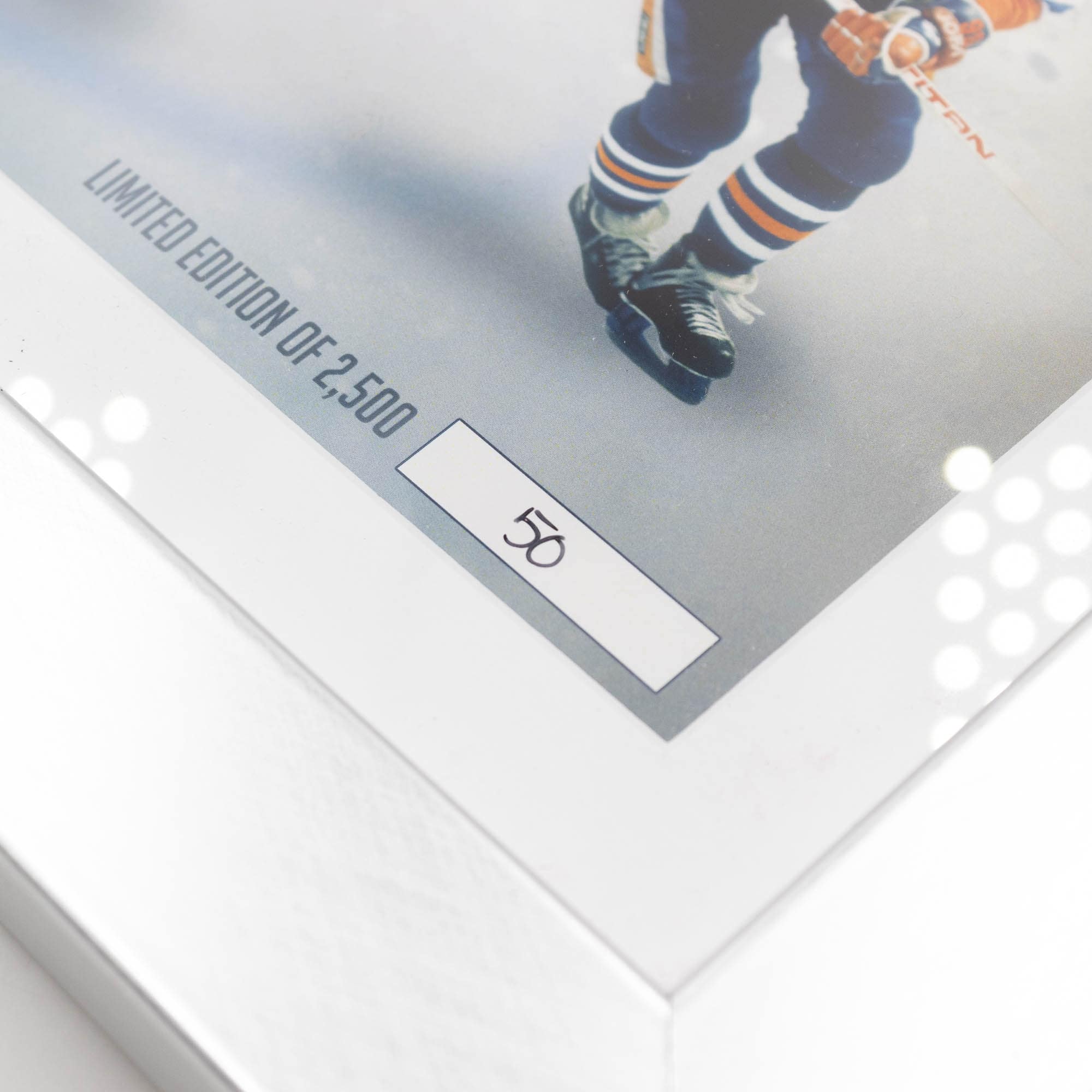 Wayne Gretzky The Great One Panorama Silver Coin Framed NHL Photo