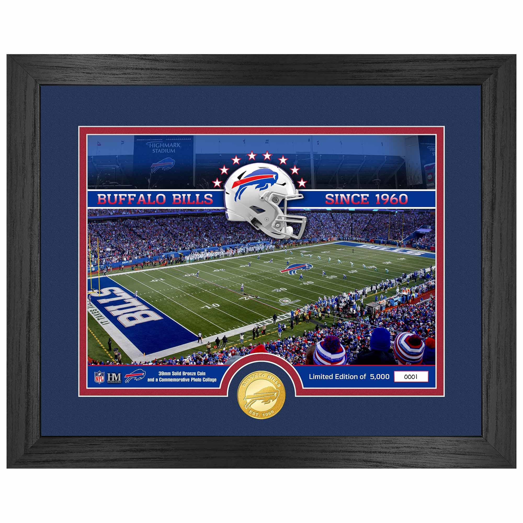 Buffalo Bills Team Stadium Bronze Coin Framed NFL Photo