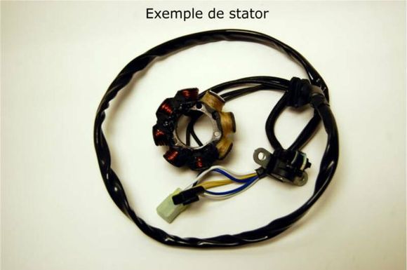 Electrosport Ignition Stator Ref: Els00275A / 1077975