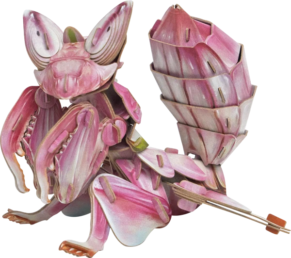 Make Bug ORCHID MANTIS D0052